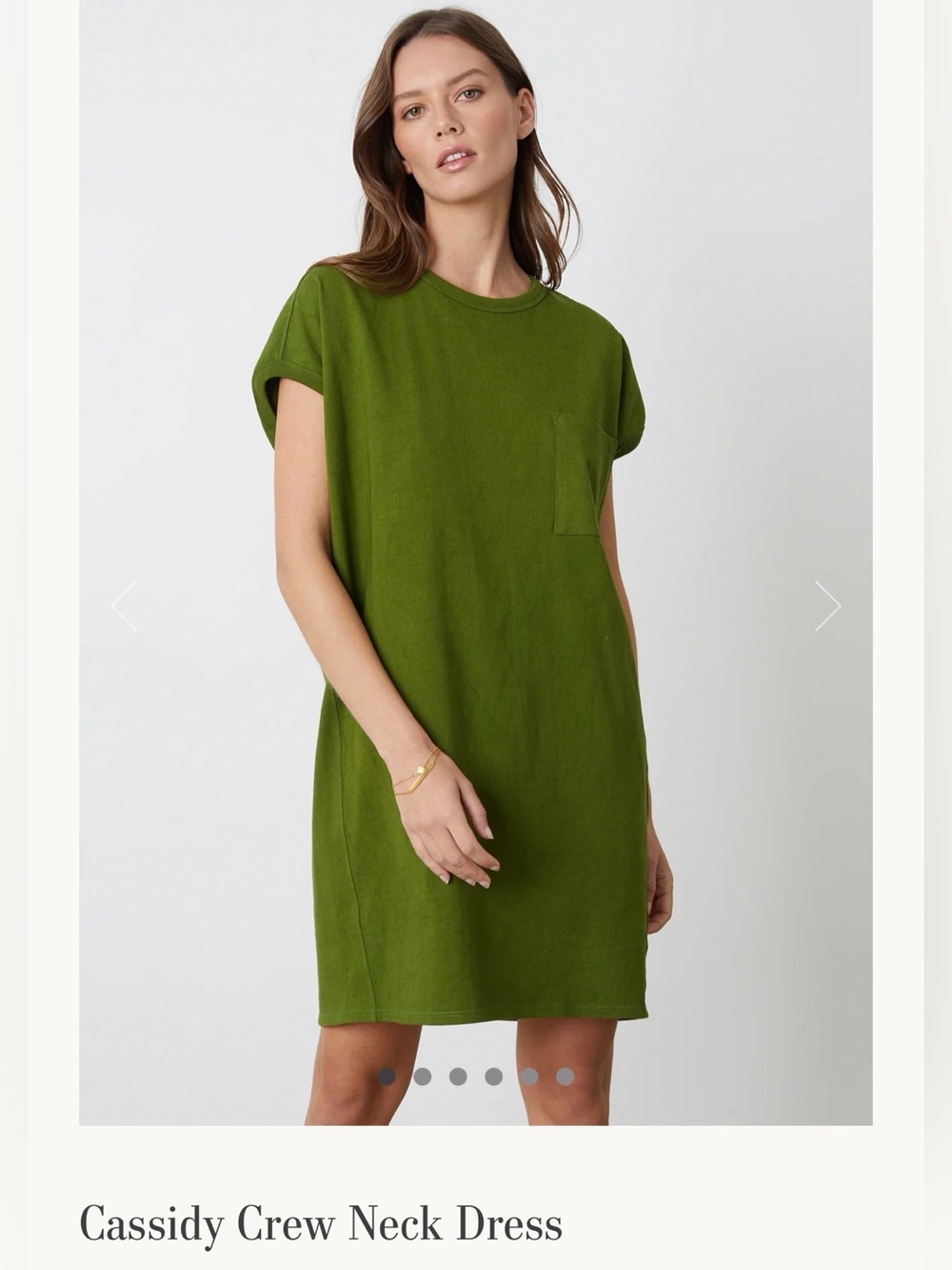 Velvet by Graham and Spencer Cassidy Crew Neck Dress Chervil Green Medium NWT